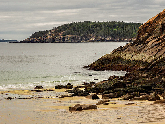 Acadia 2022