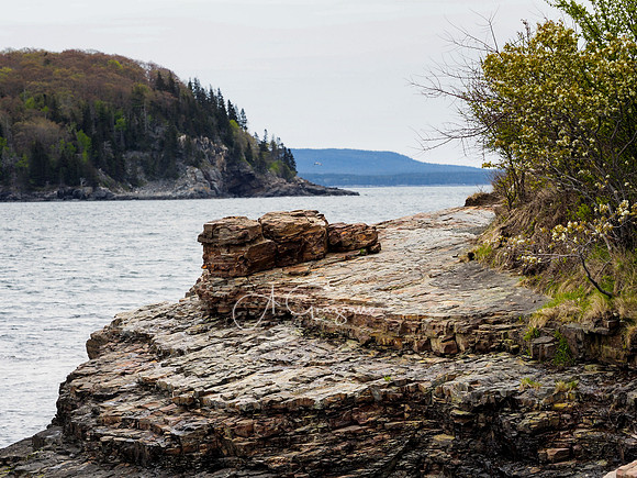 Acadia 2022