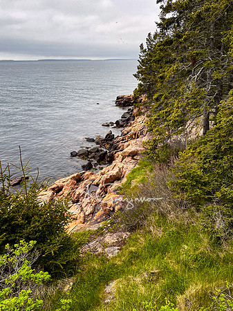 Acadia Workshop 2022