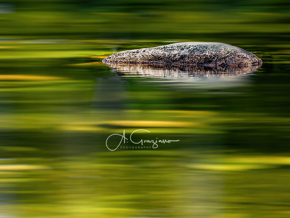 Jordon Pond, Acadia 2022