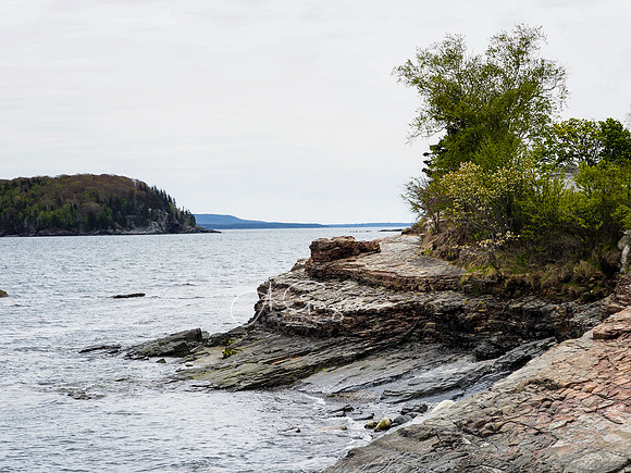 Acadia 2022
