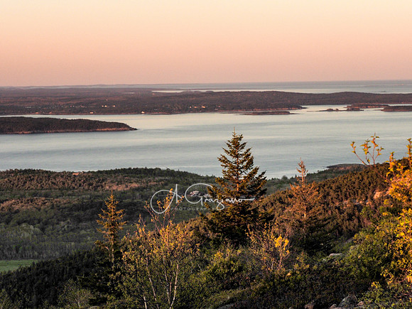 Acadia 2022