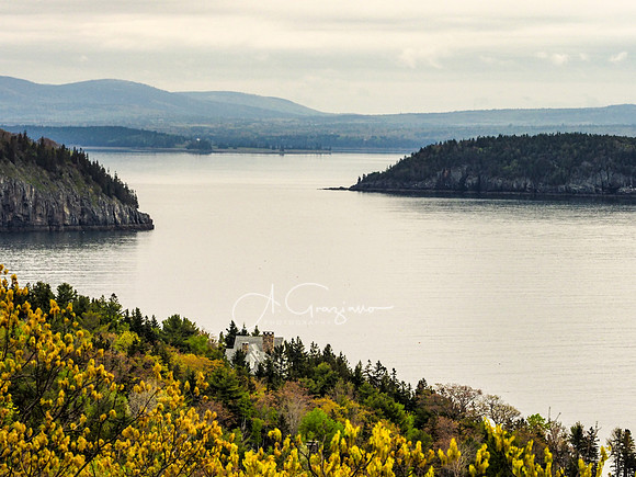 Acadia 2022