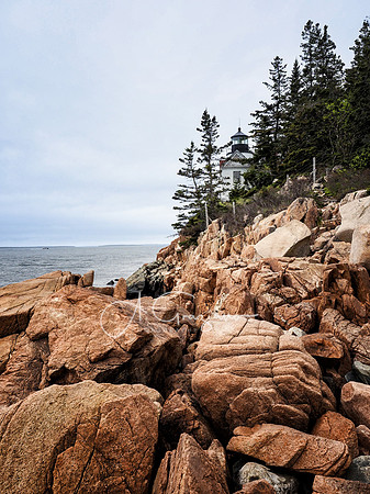 Acadia 2022