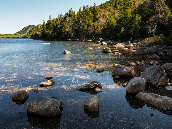 Acadia 2022