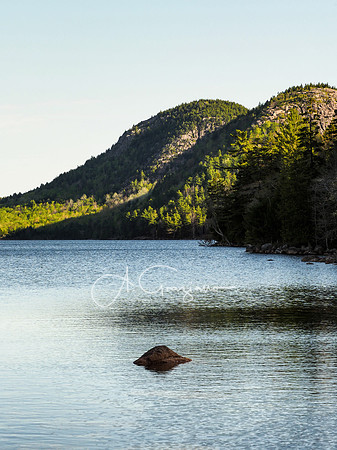 Acadia 2022