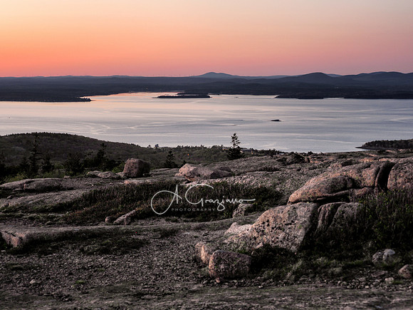 Acadia 2022