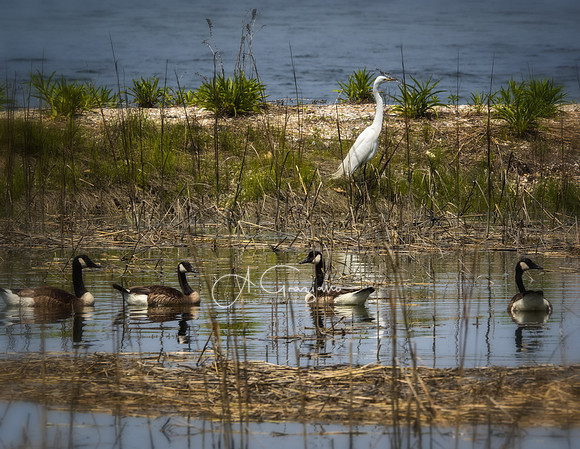 Stony Brook Harbor