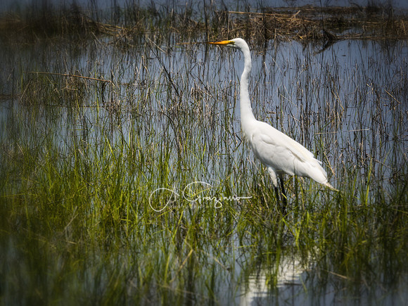 Stony Brook Harbor