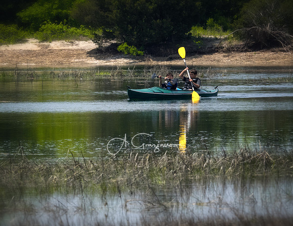 Stony Brook Harbor