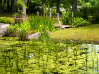 Peconic River Herb Farm
