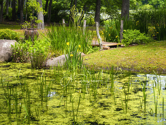 Peconic River Herb Farm