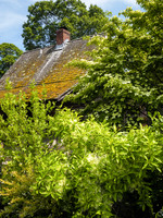 Peconic River Herb Farm