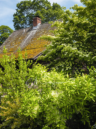 Peconic River Herb Farm