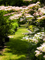 Peconic River Herb Farm