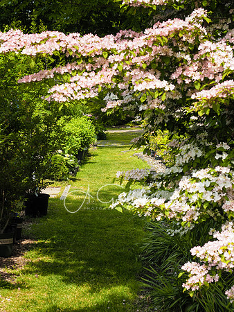 Peconic River Herb Farm