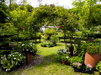 Peconic River Herb Farm