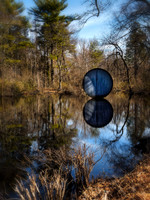 William Cullen Bryant Preserve - Wood Duck