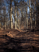 William Cullen Bryant Preserve