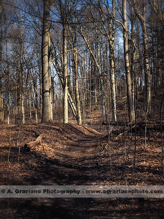 William Cullen Bryant Preserve