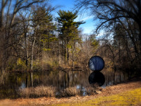 William Cullen Bryant Preserve