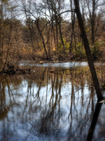 William Cullen Bryant Preserve