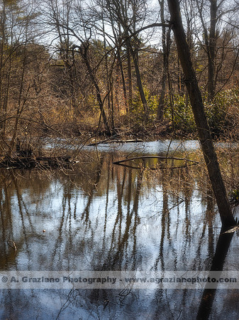 William Cullen Bryant Preserve