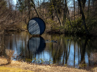 William Cullen Bryant Preserve