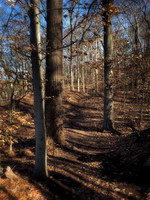 William Cullen Bryant Preserve