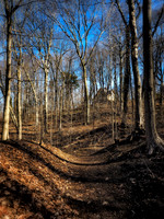 William Cullen Bryant Preserve