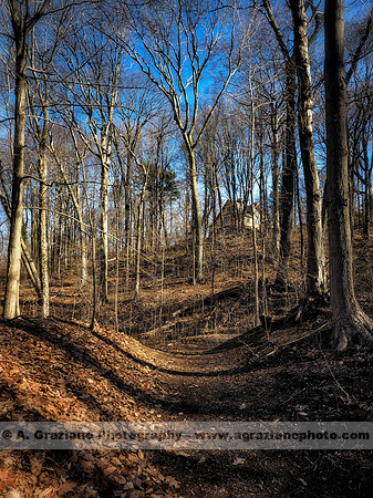 William Cullen Bryant Preserve