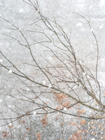 Winter Outside My Window 1