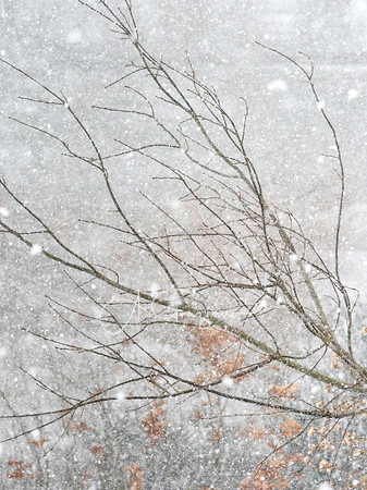 Winter Outside My Window 1
