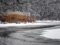 Silence Along the Carmans River