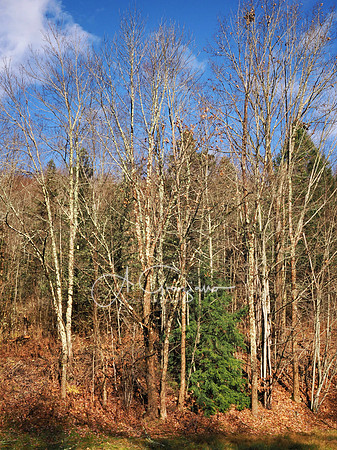 Catskills West