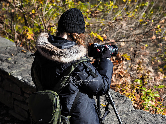 Letchworth Workshop