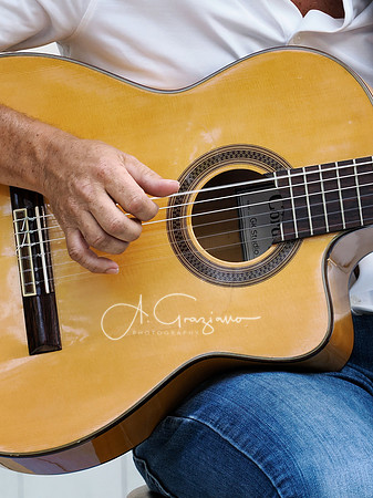 Fred Raimondo's Songwriters in the Round