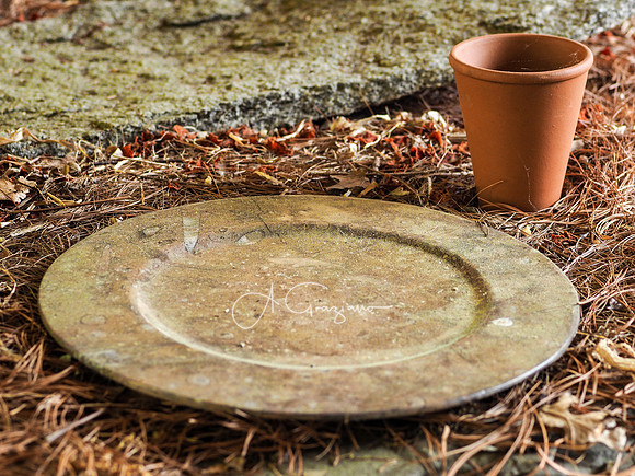 Landcraft Gardens Workshop 2022