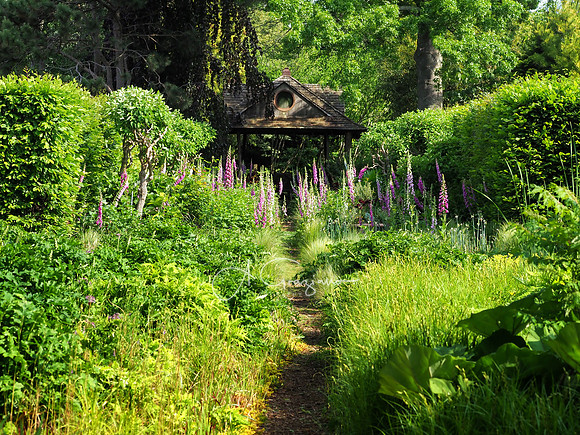 Landcraft Gardens Workshop 2022