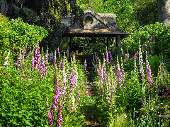 Landcraft Gardens Workshop 2022
