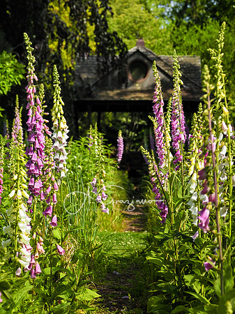Landcraft Gardens Workshop 2022