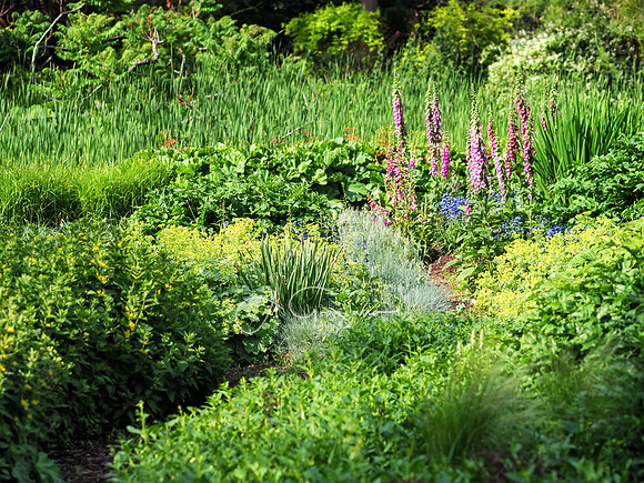 Landcraft Gardens Workshop 2022
