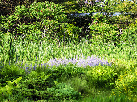 Landcraft Gardens Workshop 2022