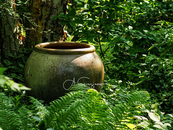 Landcraft Gardens Workshop 2022