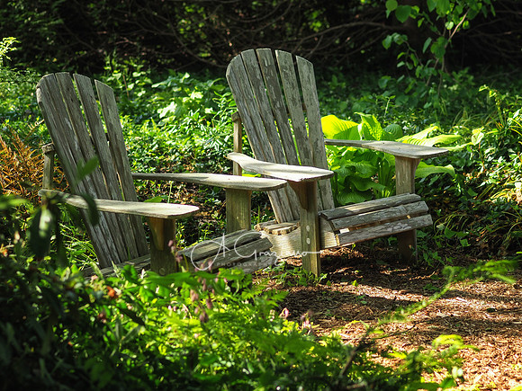 Landcraft Gardens Workshop 2022