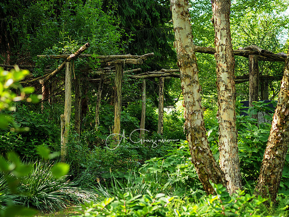 Landcraft Gardens Workshop 2022