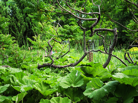 Landcraft Gardens Workshop 2022