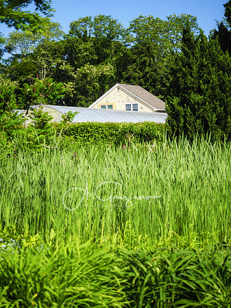 Landcraft Gardens Workshop 2022