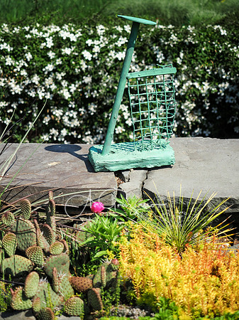 Landcraft Gardens Workshop 2022