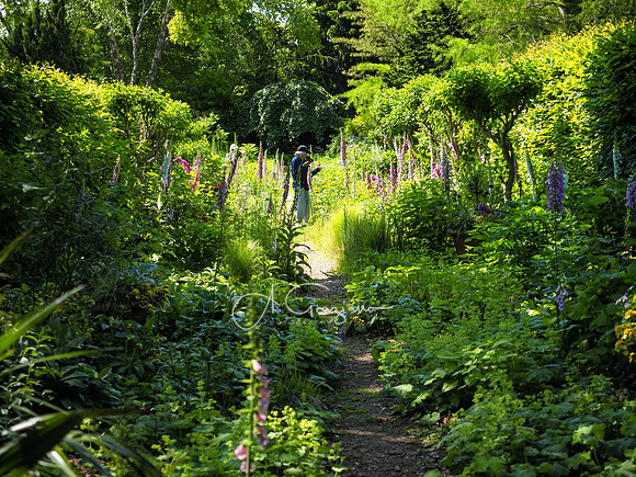 Landcraft Gardens Workshop 2022